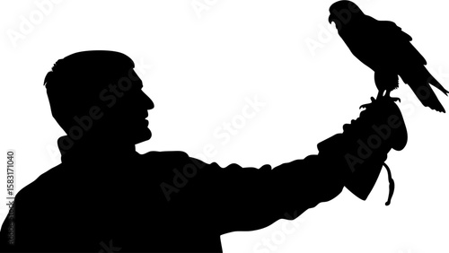 Silhouette of a man holding a falcon on his gloved hand in a falconry demonstration or training session