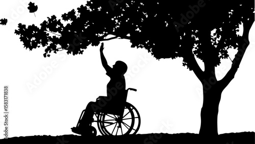 Silhouette of a person in a wheelchair reaching towards leaves on a tree with falling leaves overhead