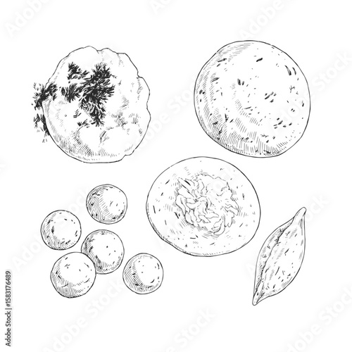 Vector hand-drawn illustration of the process of making cheese pies from dill dough. Sketches of baking preparation stages.