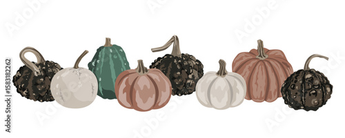 Pumpkins border garland composition isolated on white. Cozy small gourds autumn decoration. Vector squash set illustration