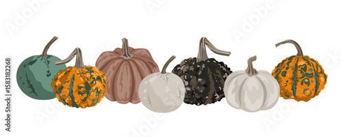Pumpkins border garland composition isolated on white. Cozy small gourds autumn decoration. Vector squash set illustration