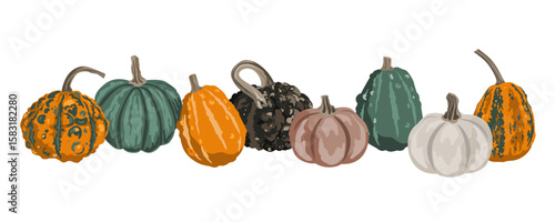 Pumpkins border garland composition isolated on white. Cozy small gourds autumn decoration. Vector squash set illustration
