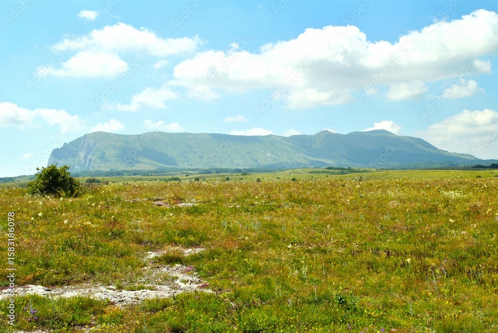Fototapeta premium Beautiful mountain landscape featuring verdant hills and a clear blue sky. Crimea, Ukraine