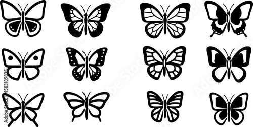 Butterfly Vector Illustration for Design
