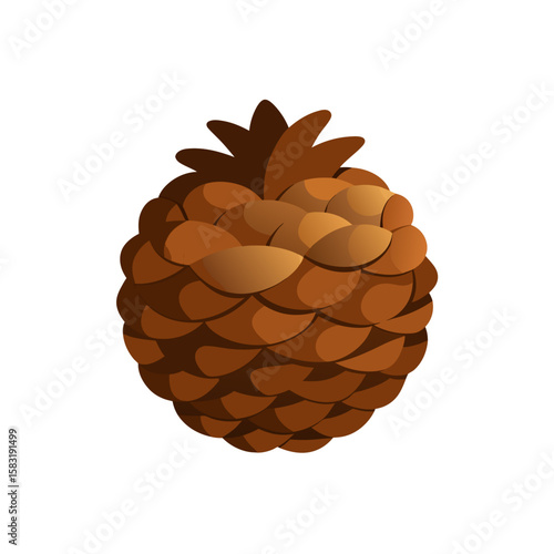 realistic pinecone isolated on white background  .svg