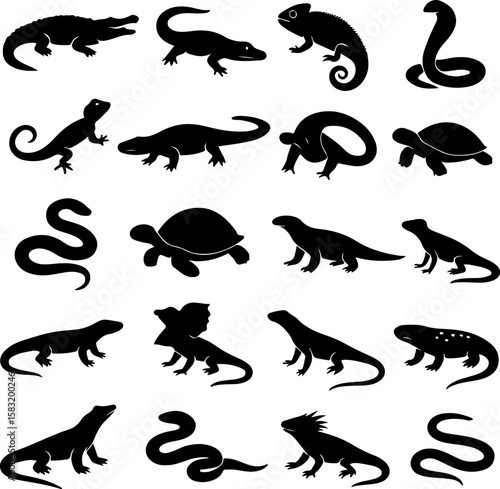 Collection of silhouettes of various reptiles including alligators snakes lizards turtles and chameleons in a grid layout