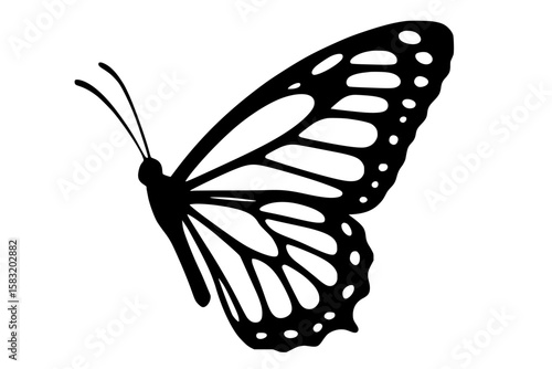 Elegant Butterfly Silhouette in Black on White Background