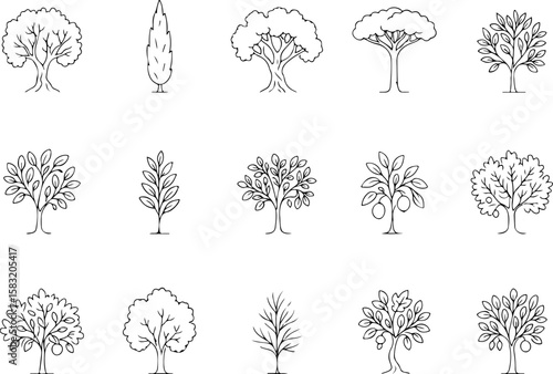 Collection of hand drawn black and white line art illustrations of various trees including deciduous fruit bearing and evergreen varieties
