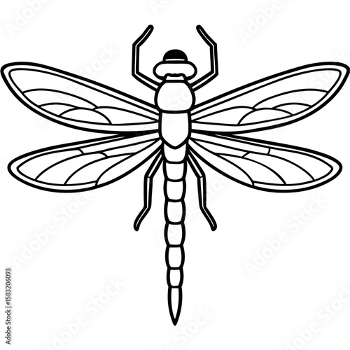 Detailed line art of a dragonfly with intricate wing patterns isolated on white background