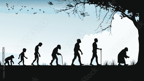 Silhouette illustration of human evolution stages with birds and tree in background view in the sky