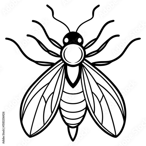 Detailed line art illustration of a firefly with a glowing abdomen isolated on white background