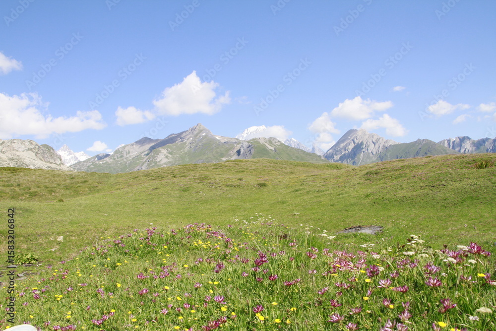 Fototapeta premium Savoie, Lac du Verney