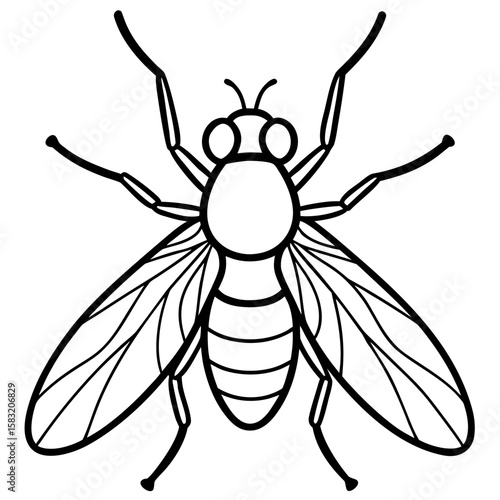 Detailed line art illustration of a housefly with spread wings isolated on white background