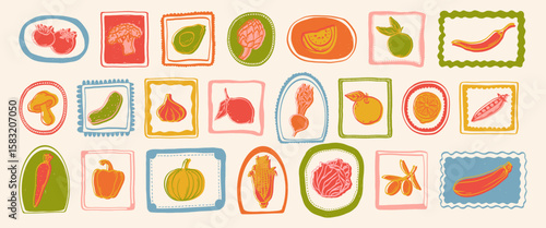 Collection of hand drawn colorful vegetables and decorative frames. Tomatoes, potato, corn, pepper, olives, avocado, pumpkin, cucumber, beet, peas. Vector.
