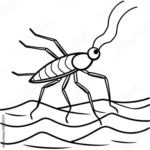 Minimalist line art of a water strider insect walking on water surface isolated on white background