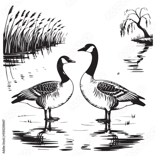 Two canada geese stand facing each other in a stylized black and white pond with reeds and a weeping willow tree