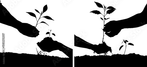 Hands Planting Saplings - Reforestation and Environmental Care Silhouette