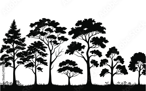 Diverse trees and foliage in silhouette nature black