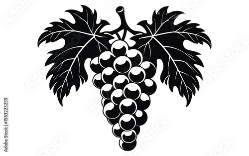 Black grape cluster with leaves fruit