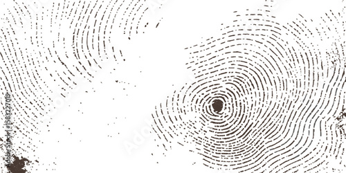 Black or white background fingerprint for unique digital identity and crime security