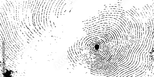 Fingerprint patterns on black or white backgrounds symbolize identity, security, and forensic investigation
