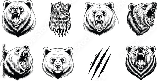 Grizzly Bear Head Vector Set Roaring, Growling, Paw, and Claw Marks Illustration