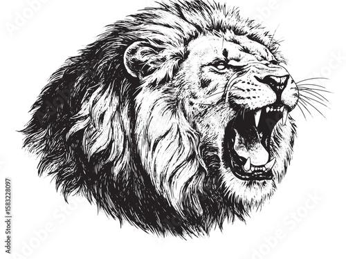 Wallpaper Mural Engraved African lion roaring loudly with sharp teeth and bold mane in fierce pose Torontodigital.ca
