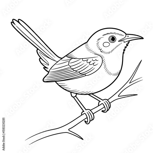 A beautiful line drawing of a tailorbird coloring page design