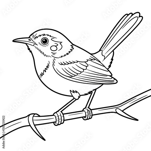 Illustration vector of a tailorbird coloring page