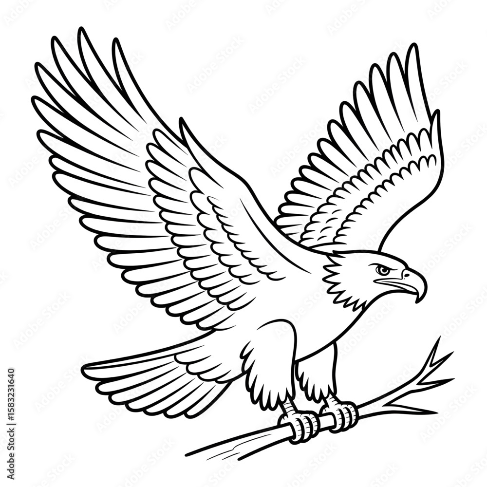 Obraz premium Eagle line drawing coloring page