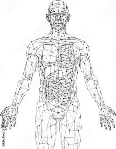 Create a Human body in low-poly style on a white background. The drawing consists of thin lines and dots. Polygonal image on topics of science or medicine. Low poly EPS Vector art .