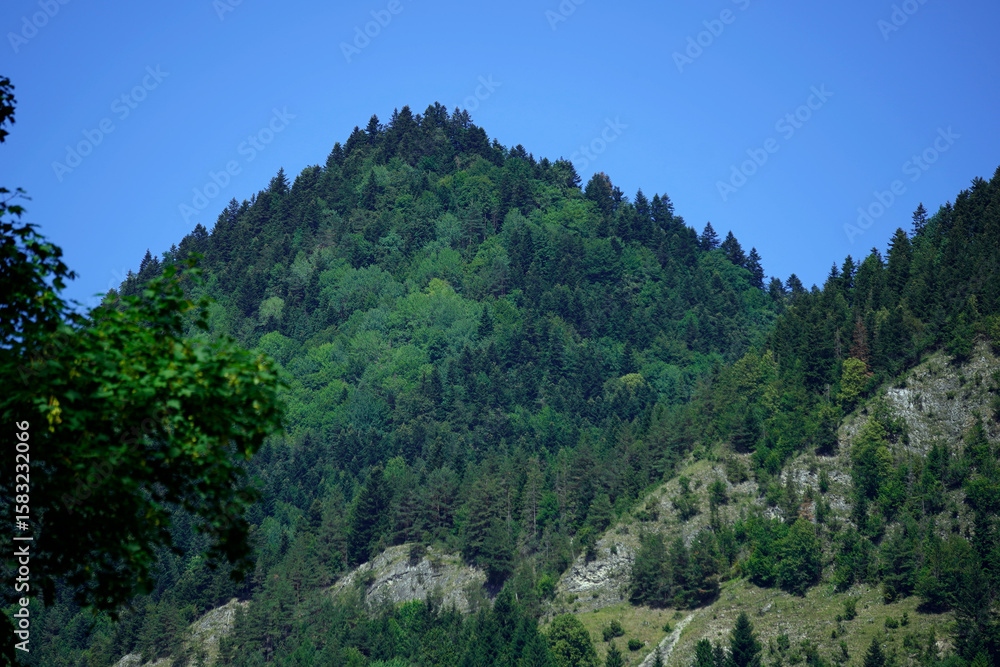 Lush green mountain covered with dense coniferous and deciduous trees under a clear blue sky. Rocky outcrops and varying vegetation create a rich natural landscape showcasing diverse forest ecology.
Lush green mountain covered with dense coniferous and deciduous trees under a clear blue sky. Rocky outcrops and varying vegetation create a rich natural landscape showcasing diverse forest ecology.
