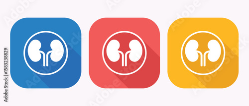 Three kidney icons in different colored squares with shadows