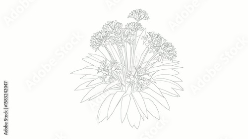 Clean botanical line art design on minimalist white background.
