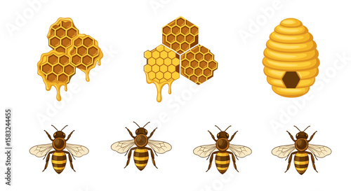 Illustration showing honeycombs with dripping honey, a beehive, and four bees on a white background