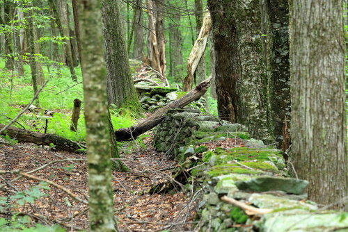 Dilapidated stone fence marks the remnants of a forgotten boundary in the woods