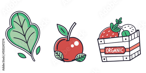vector illustration of a tomato