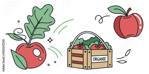 vector illustration of a tomato