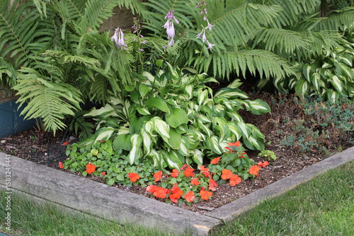 small orange red blossoms filling the corner of a flower bed below bush with light green leaves and purple blossoms above