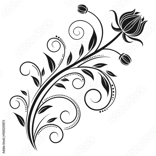 Flourish ornate header. Decorative calligraphic vintage divider