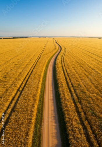 Aerial View of a Winding Dirt Road Through a Golden Wheat Field