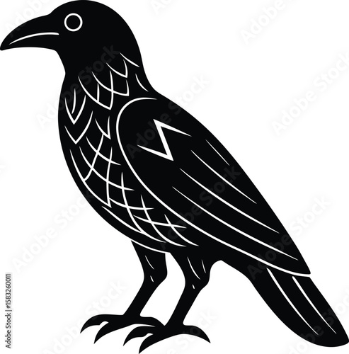 vector illustration of a bird
