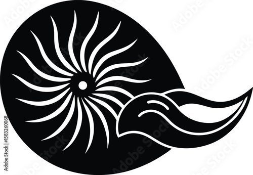vector illustration of a snail shell