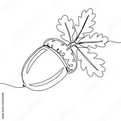 Single acorn with leaves drawn in minimalist line art style  on transparent background