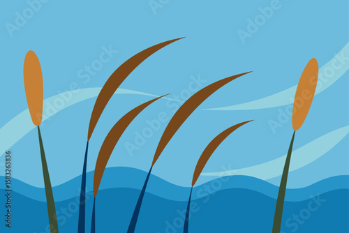 tall reeds in a windy wetland