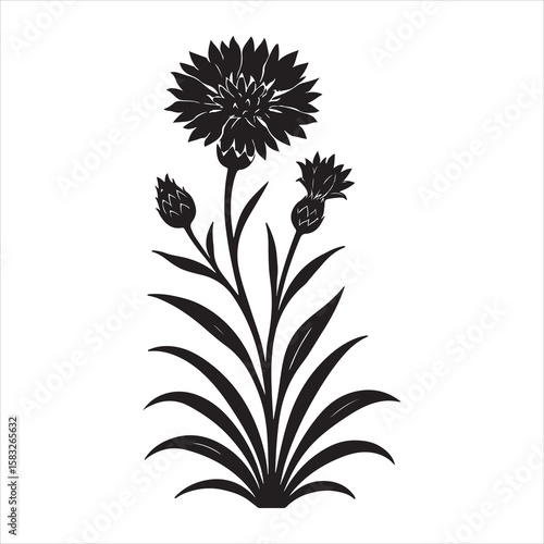 Wallpaper Mural set of vector flowers Torontodigital.ca