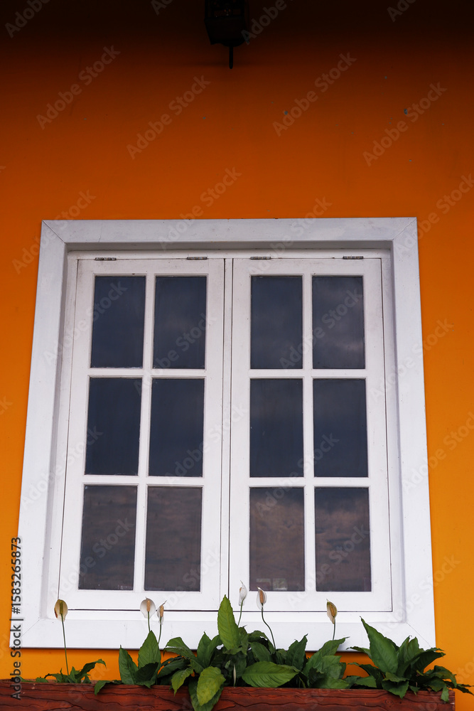White-framed window on a bright yellow house with lilies blooming in a window box below. Home and garden decor.
White-framed window on a bright yellow house with lilies blooming in a window box below. Home and garden decor.