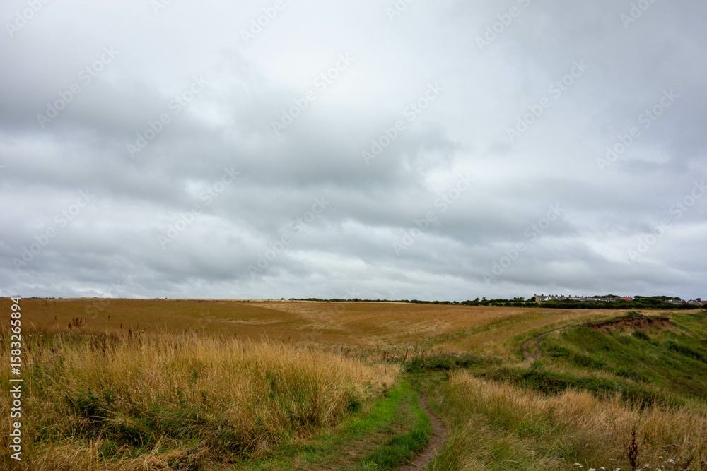 Clifftop, Whitby, North Yorkshire, UK , Coast, Sea Clifftop, Whitby, North Yorkshire, UK , Coast, Sea