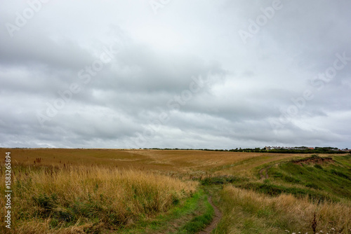 Clifftop,  Whitby, North Yorkshire, UK , Coast, Sea 