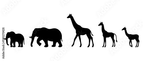 Wild Animal Silhouette Black Filled - Vector Illustration Set Of Outdoor Design Elements.